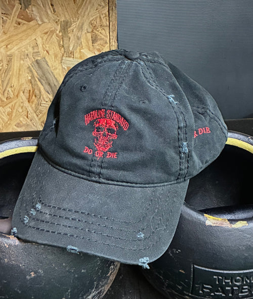 Distressed DoD Skull Hat